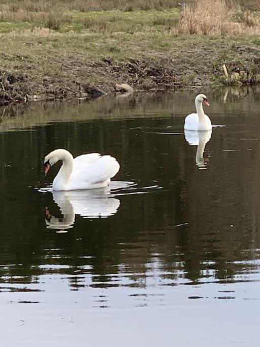 Kongsholmlund. Enjoy The Countryside. Vejby